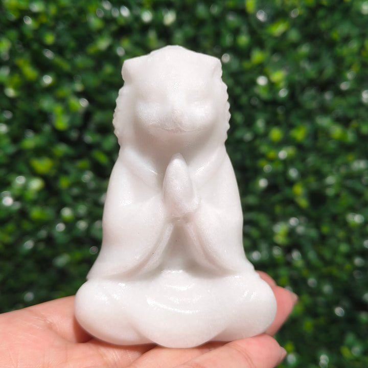 White Jade Hedgehog