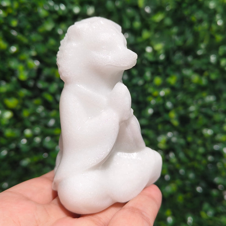 White Jade Hedgehog