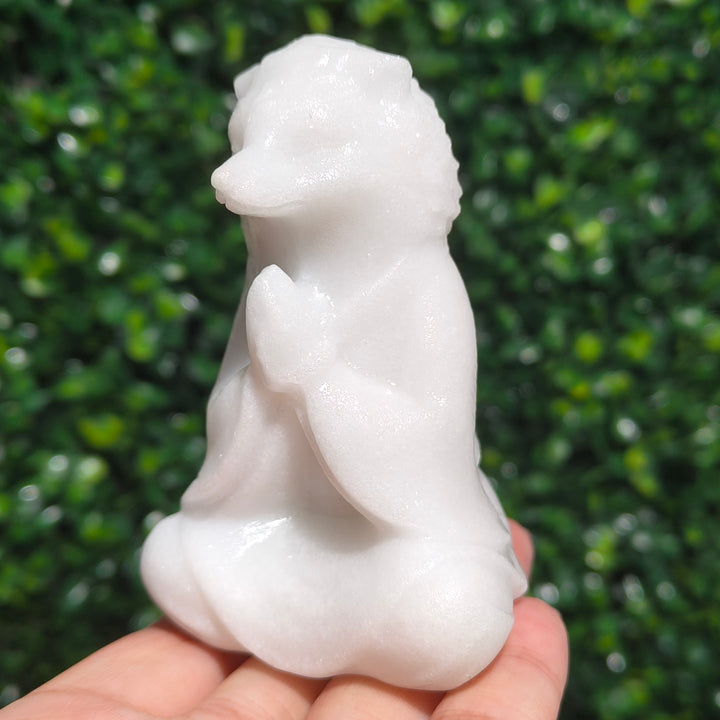 White Jade Hedgehog