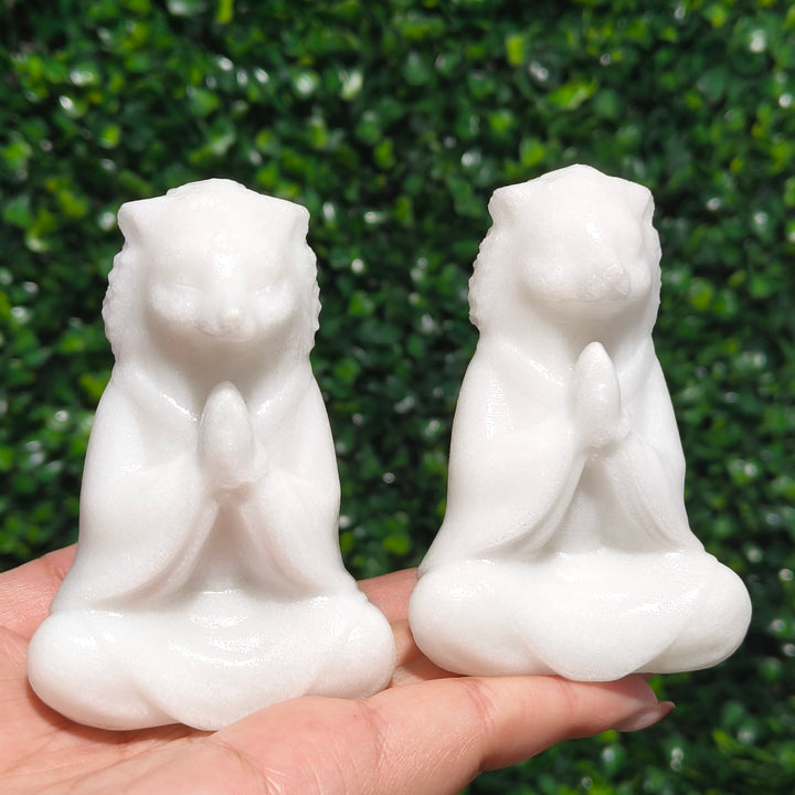 White Jade Hedgehog
