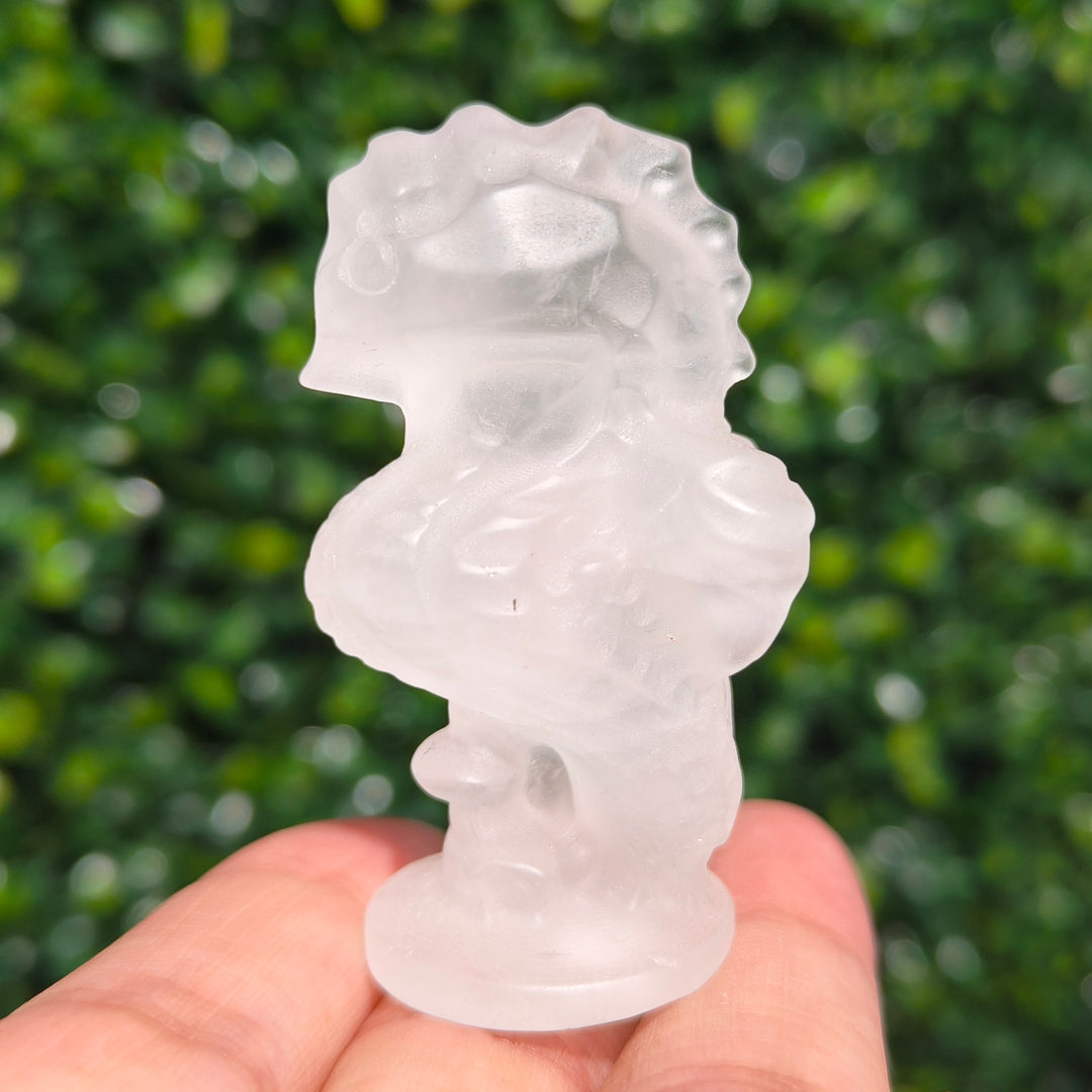 Clear Quartz Seahorse