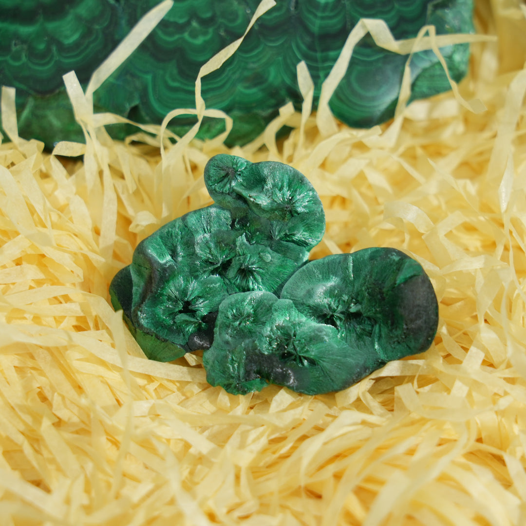 Malachite Crystal Bundle – Ultimate Protection Stone