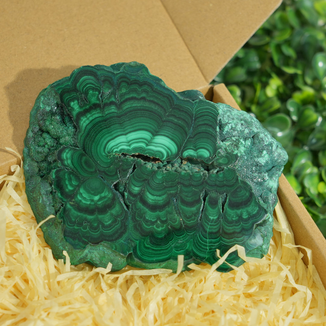 Malachite Crystal Bundle – Ultimate Protection Stone