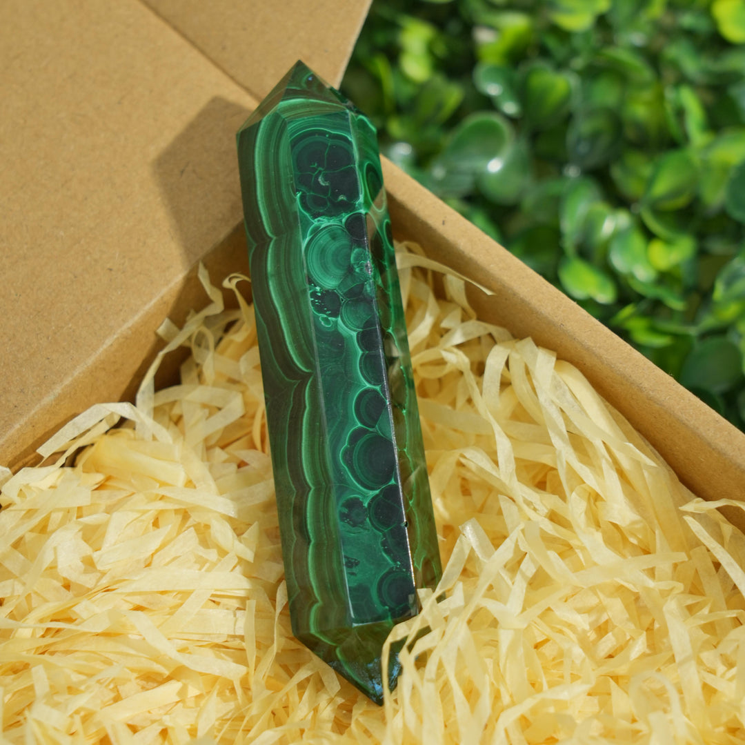 Malachite Crystal Bundle – Ultimate Protection Stone