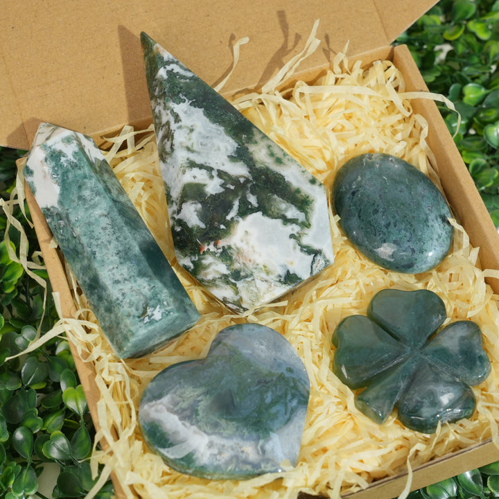 Beginner Starter Value Bundle- Moss Agate Sustainable Living Set