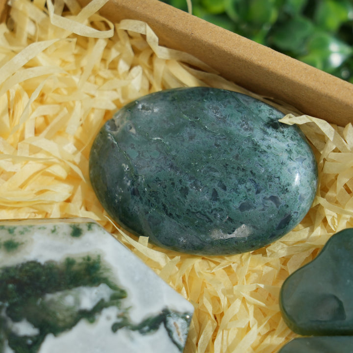 Beginner Starter Value Bundle- Moss Agate Sustainable Living Set