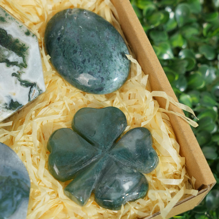 Beginner Starter Value Bundle- Moss Agate Sustainable Living Set