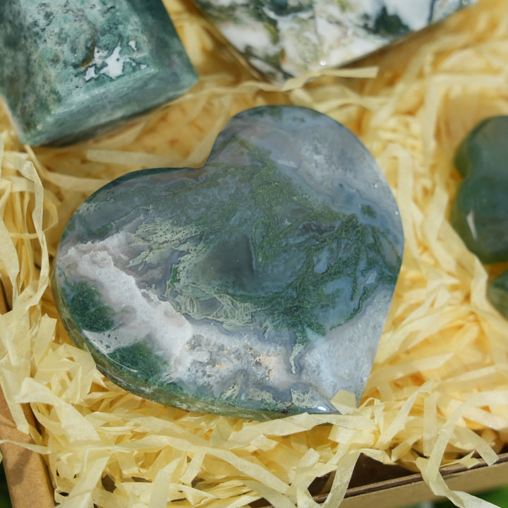 Beginner Starter Value Bundle- Moss Agate Sustainable Living Set