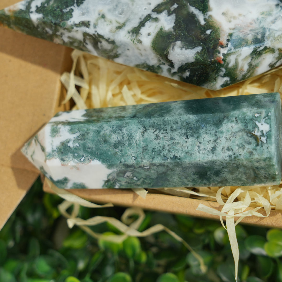Beginner Starter Value Bundle- Moss Agate Sustainable Living Set