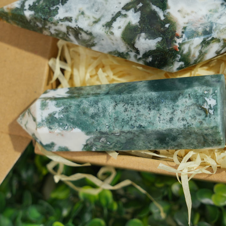 Beginner Starter Value Bundle- Moss Agate Sustainable Living Set