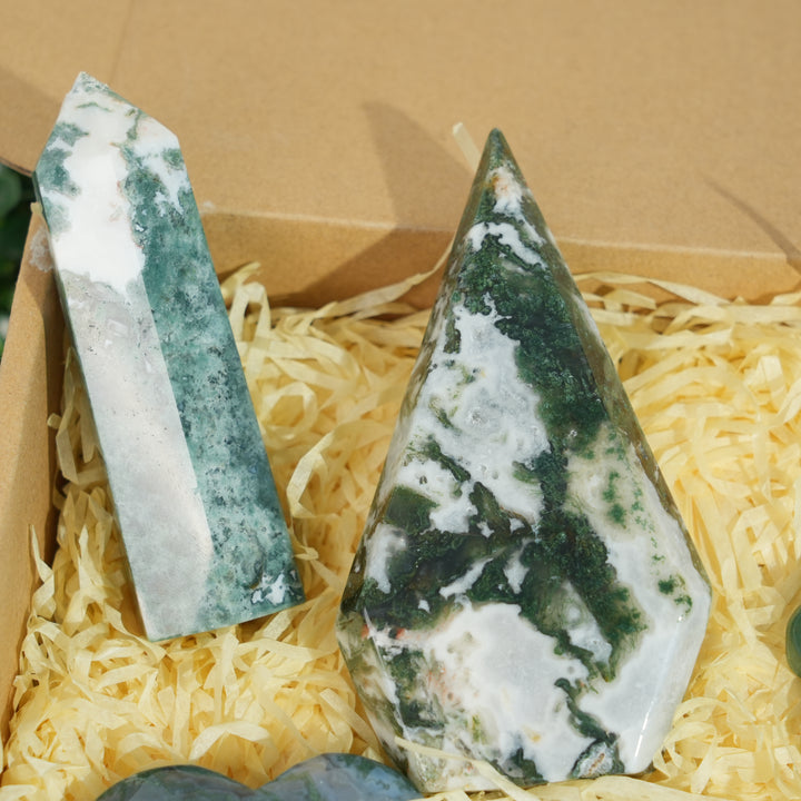 Beginner Starter Value Bundle- Moss Agate Sustainable Living Set