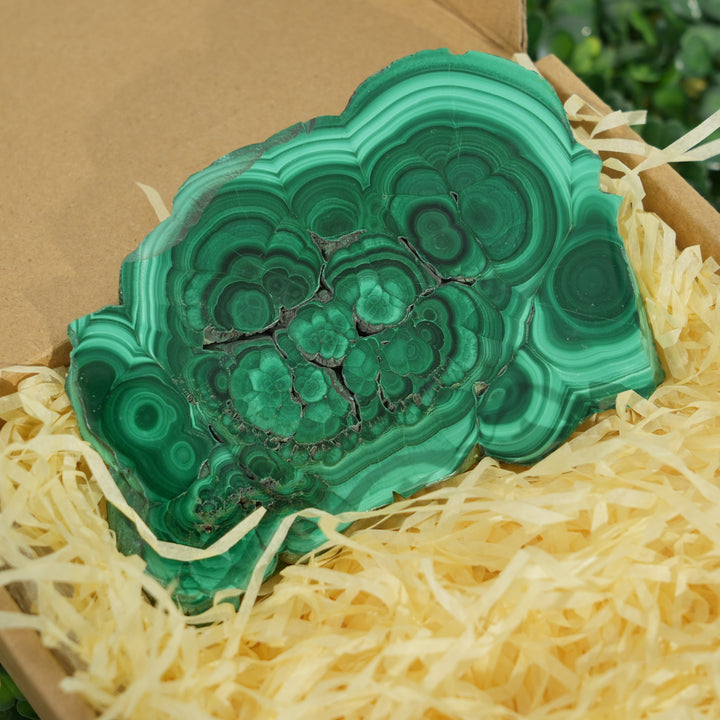 Malachite Epic Transformation Natural Crystal Set