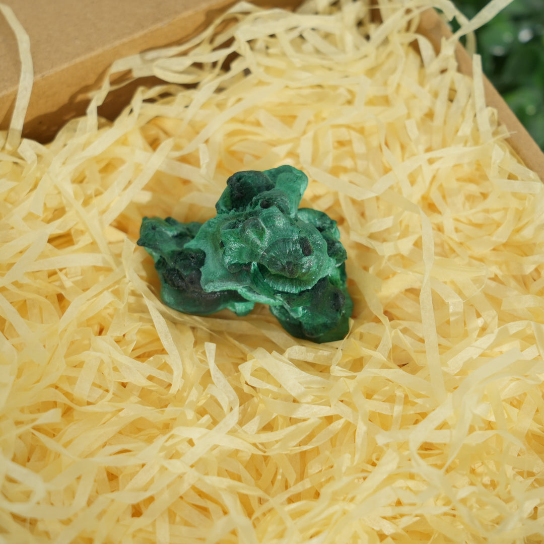 Malachite Epic Transformation Natural Crystal Set