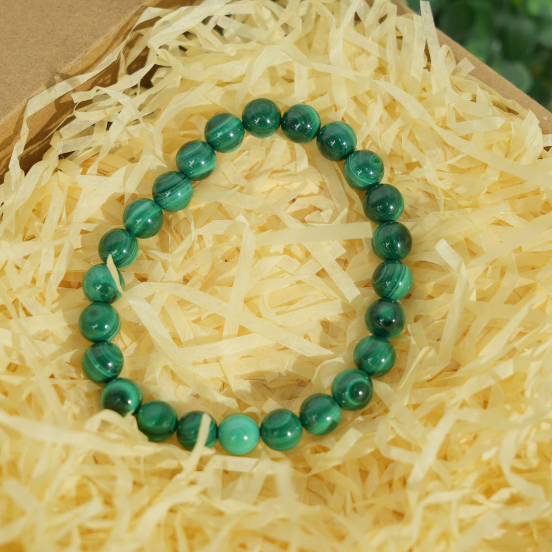 Malachite Epic Transformation Natural Crystal Set