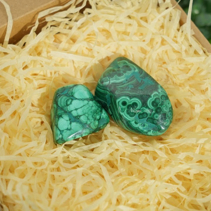Malachite Epic Transformation Natural Crystal Set
