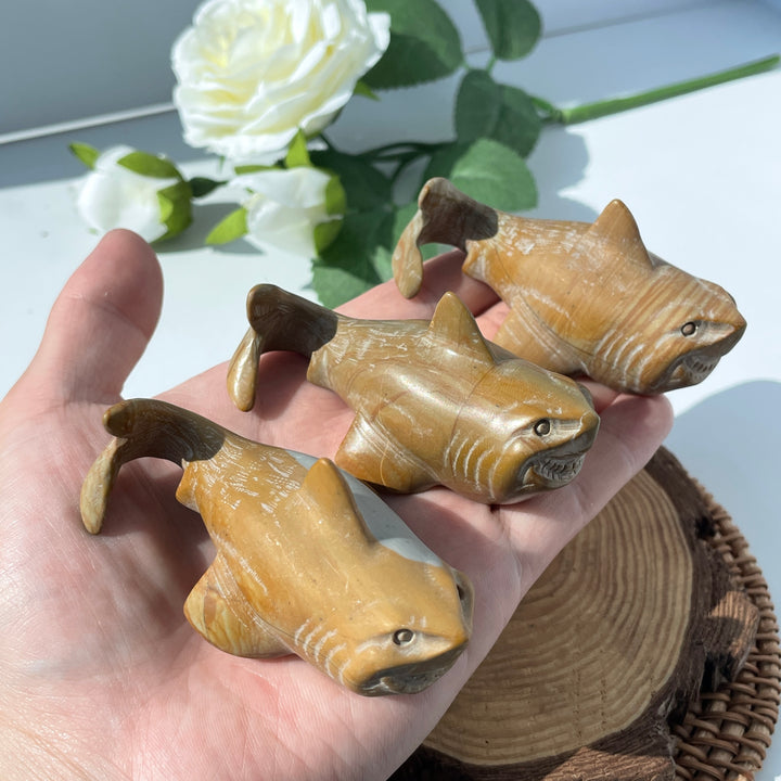 Wood Picture Jasper Shark