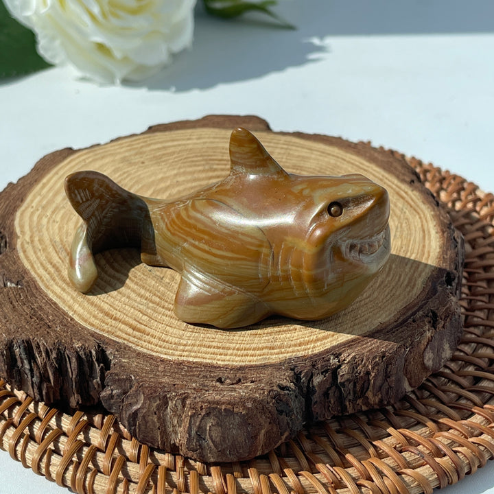 Wood Picture Jasper Shark
