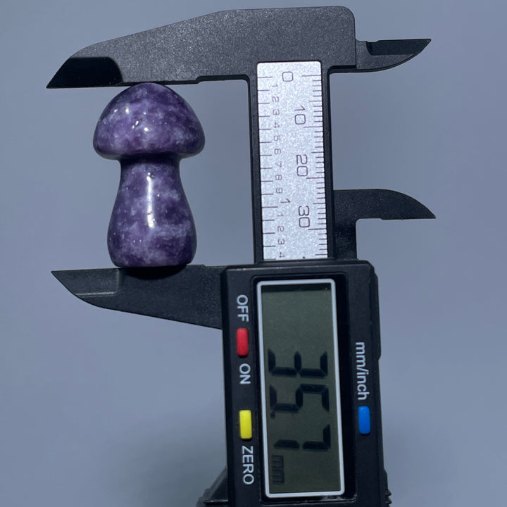 Mini Lepidolite Mushroom