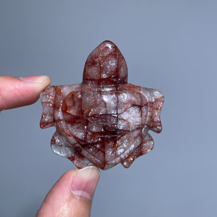 Fire Quartz Turtles