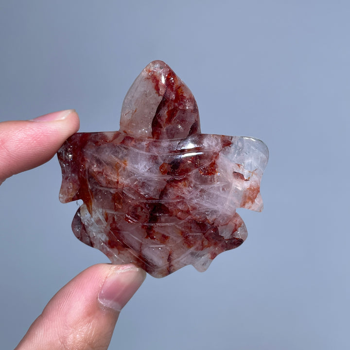 Fire Quartz Turtles