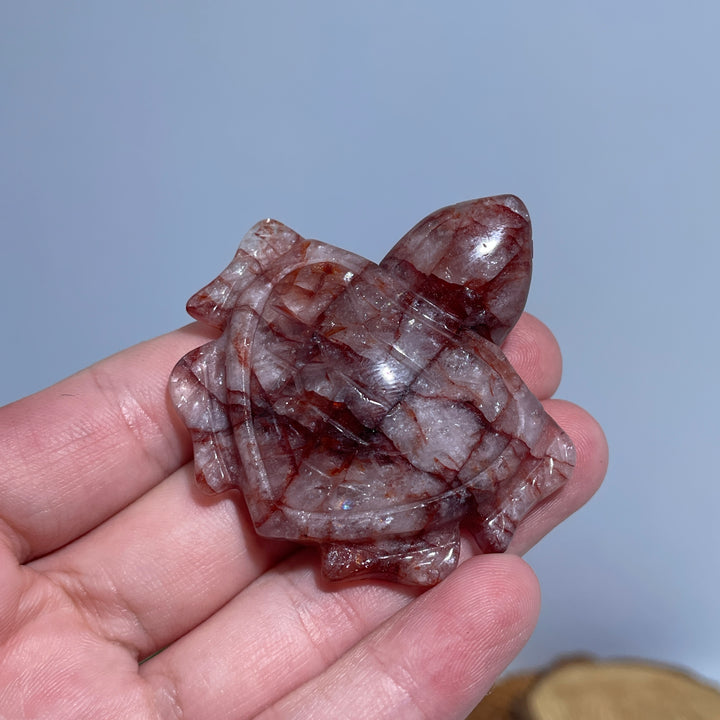 Fire Quartz Turtles