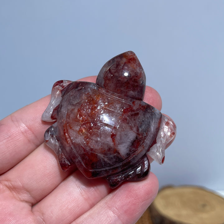 Fire Quartz Turtles