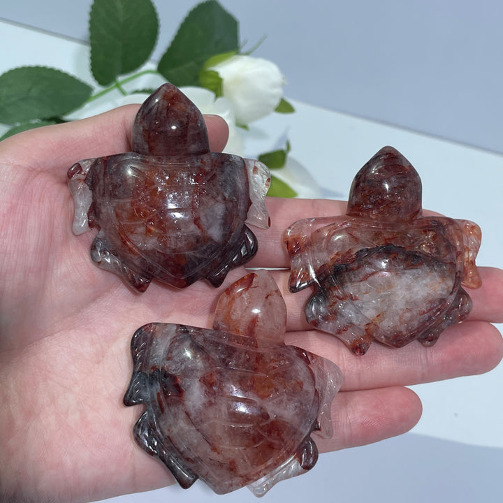 Fire Quartz Turtles