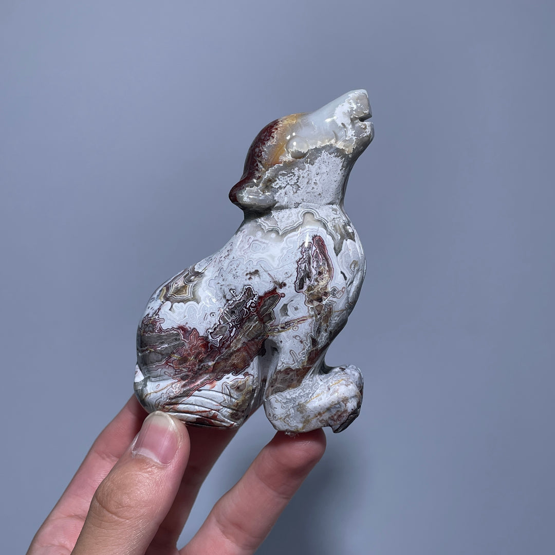 Mexican Agate Wolf