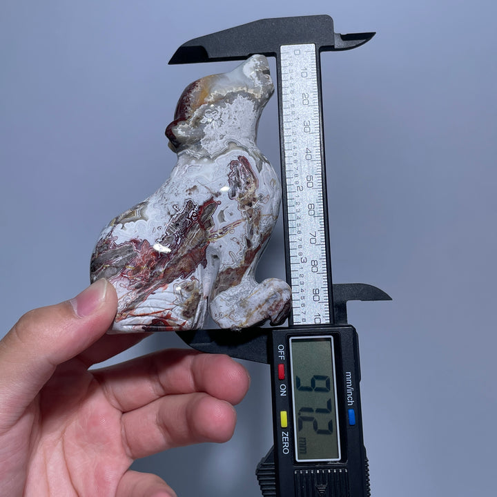 Mexican Agate Wolf