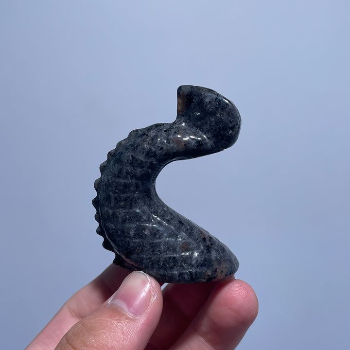 Yooperlite Trident Dragon