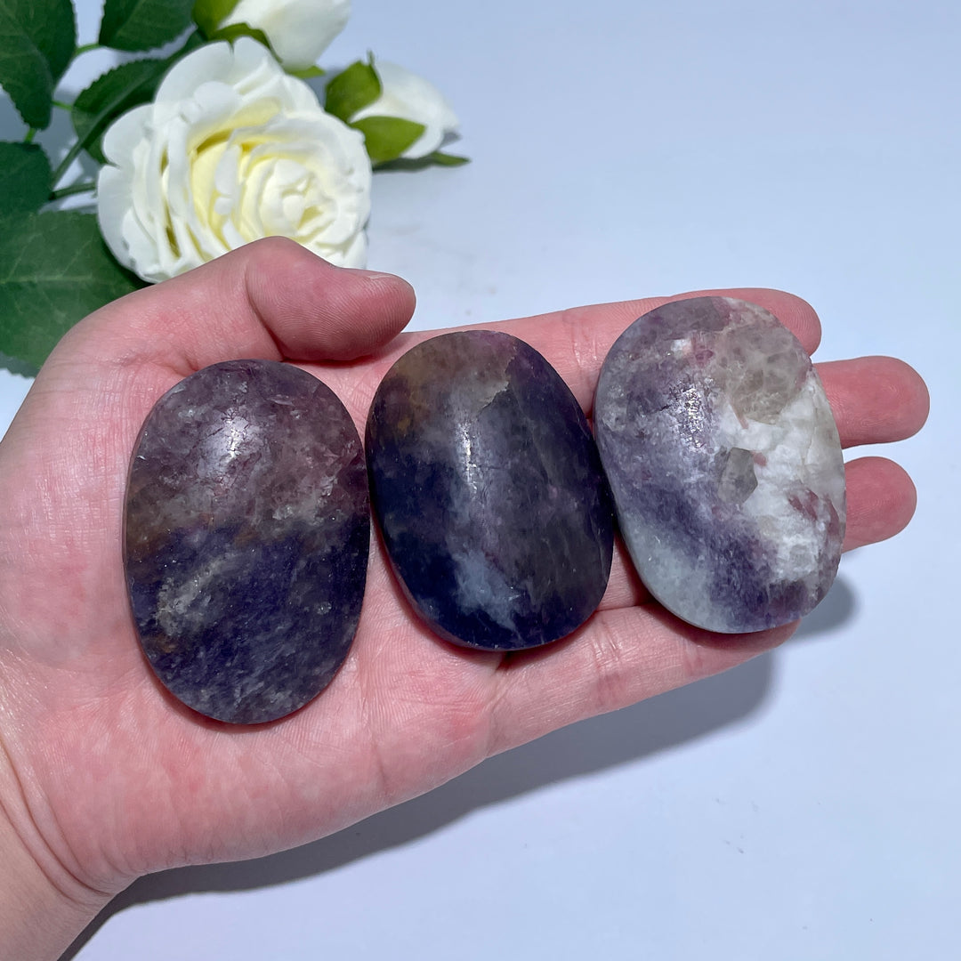 Unicorn Stone Palm Stone