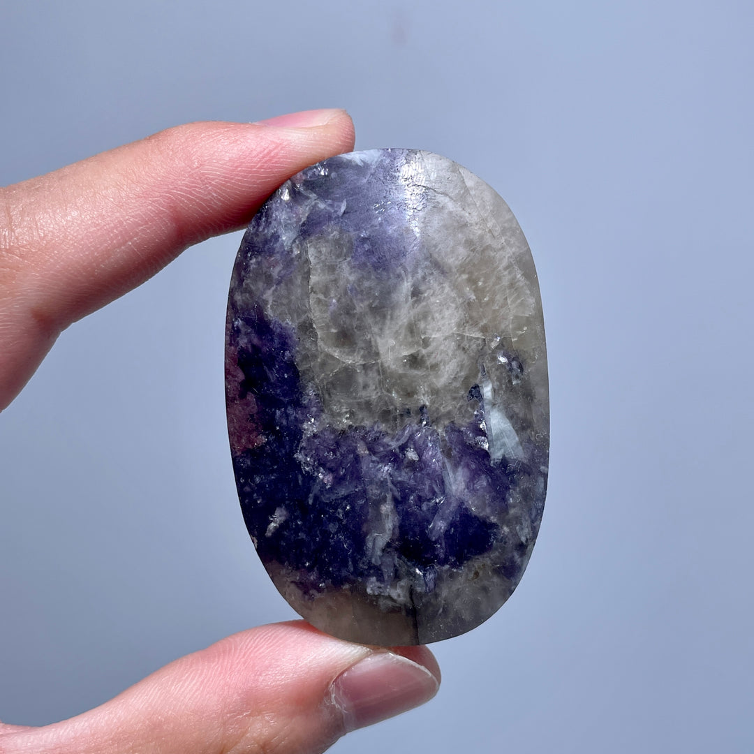 Unicorn Stone Palm Stone