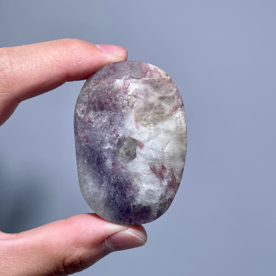 Unicorn Stone Palm Stone