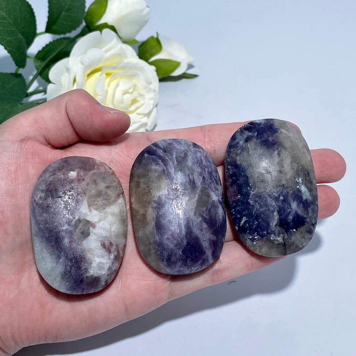 Unicorn Stone Palm Stone