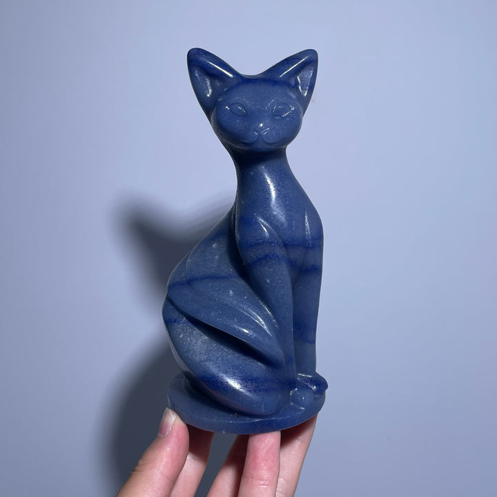 Wisdom Noble Cat