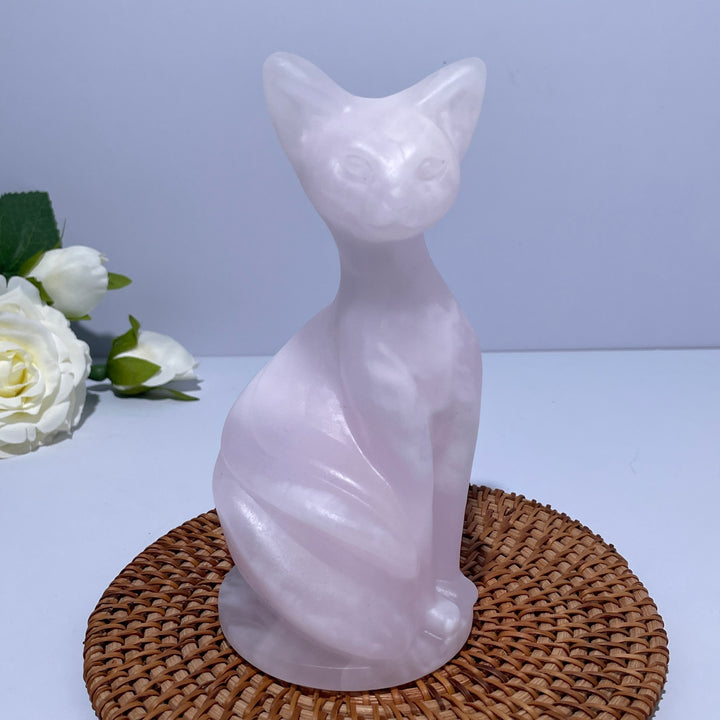 Wisdom Noble Cat