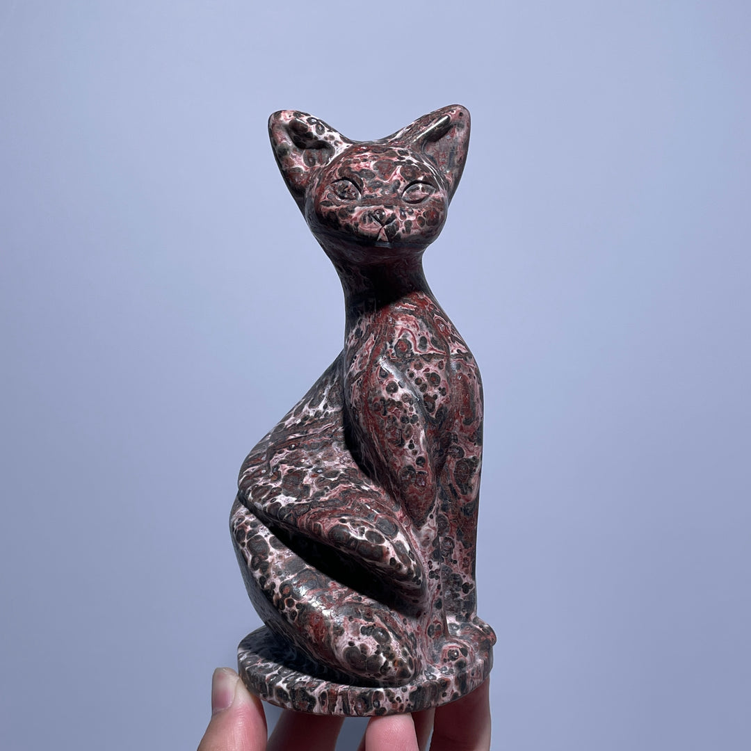 Wisdom Noble Cat