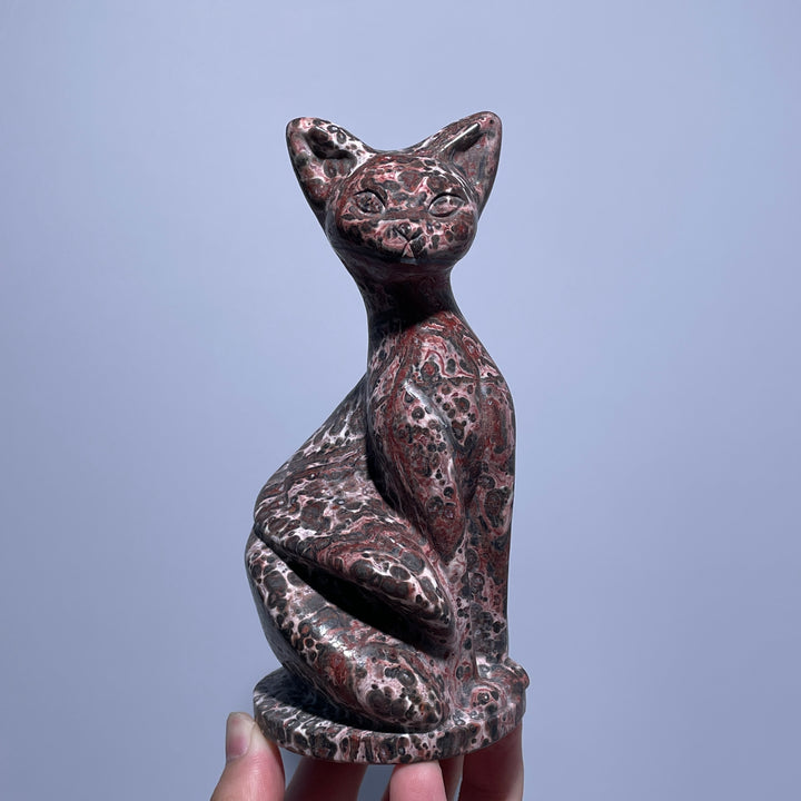 Wisdom Noble Cat