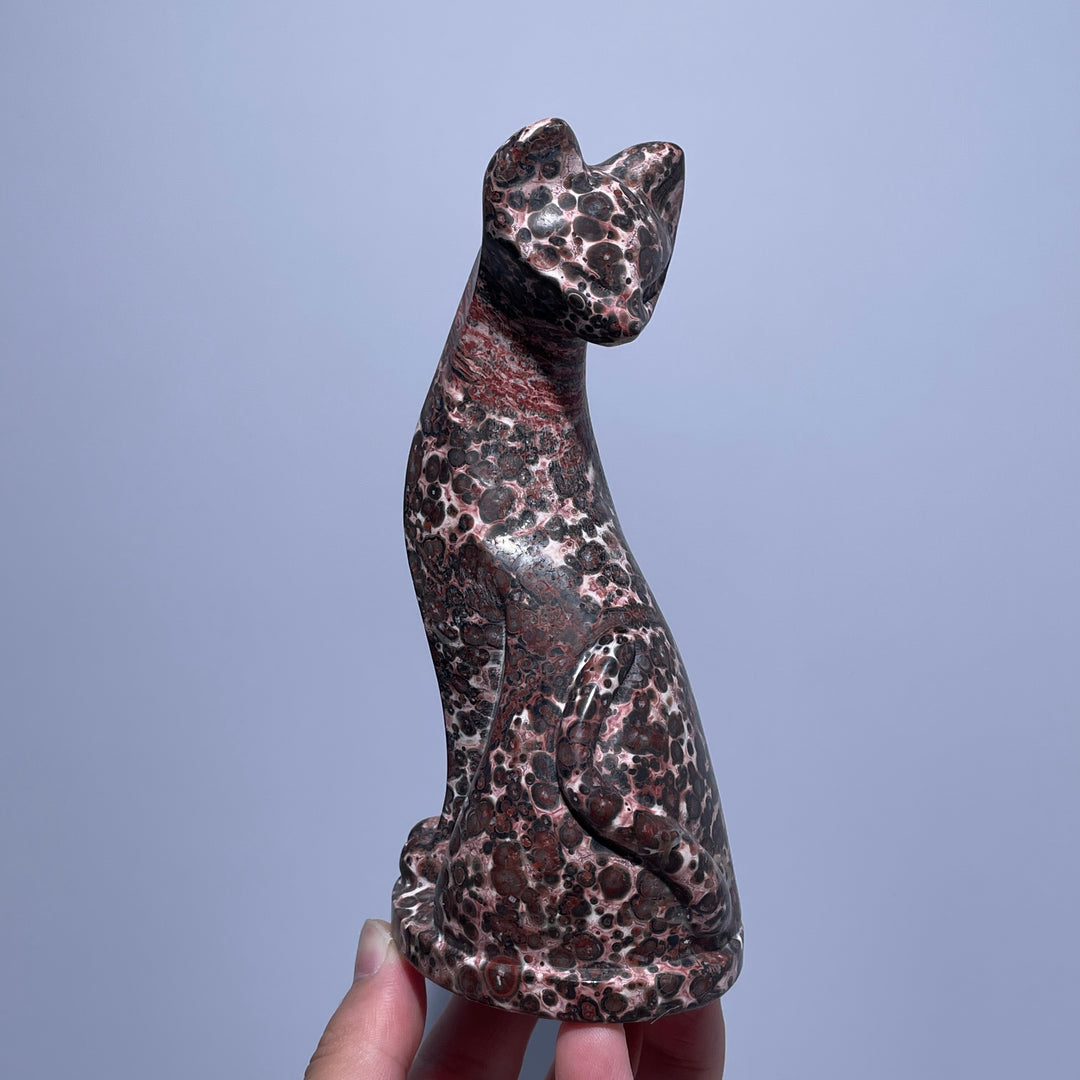 Look Back Cat