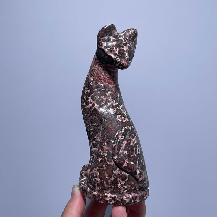 Look Back Cat