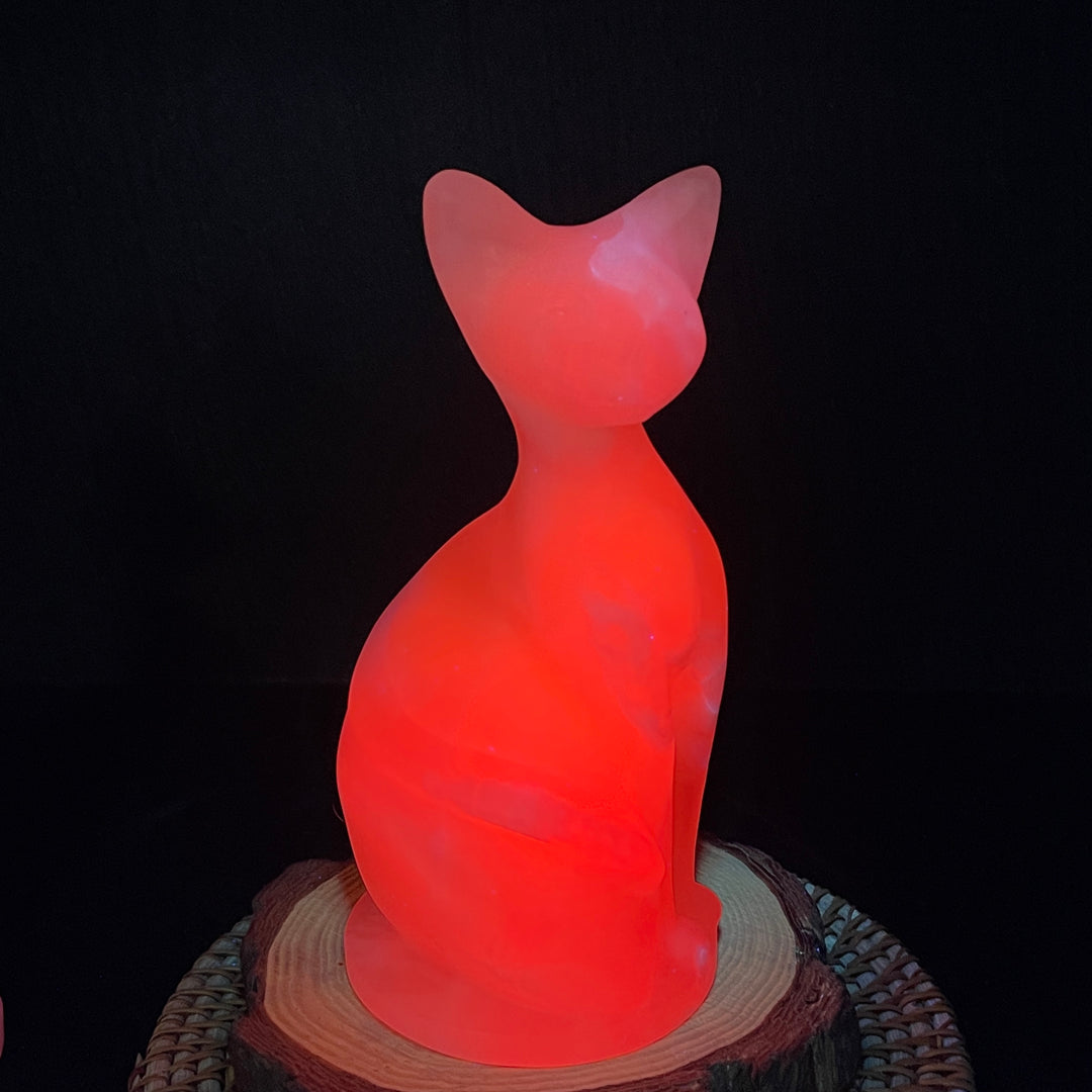 Wisdom Noble Cat