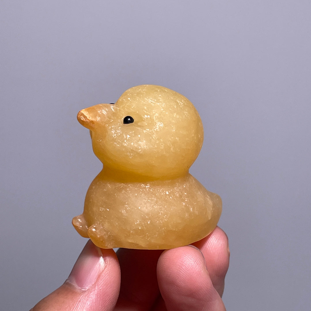 Miniature Duckling
