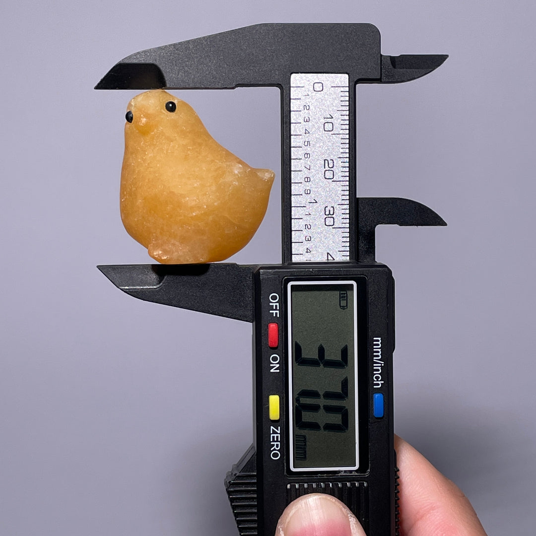 Miniature Chicken