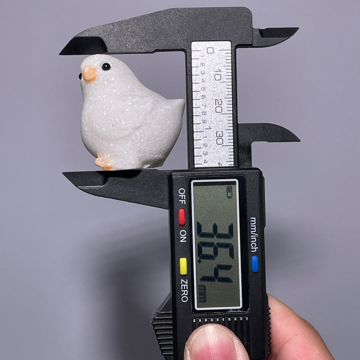 Miniature Chicken