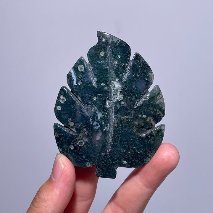 Moss Agate Tree Leaf