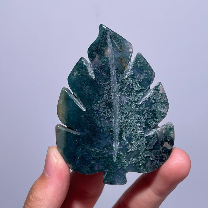 Moss Agate Tree Leaf
