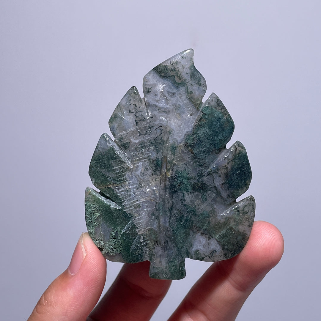 Moss Agate Tree Leaf