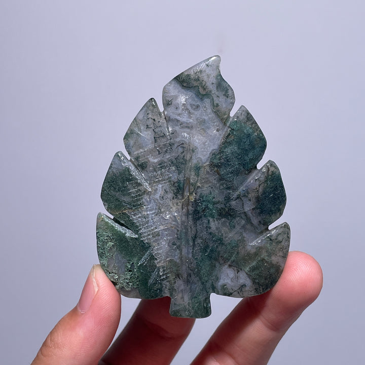 Moss Agate Tree Leaf