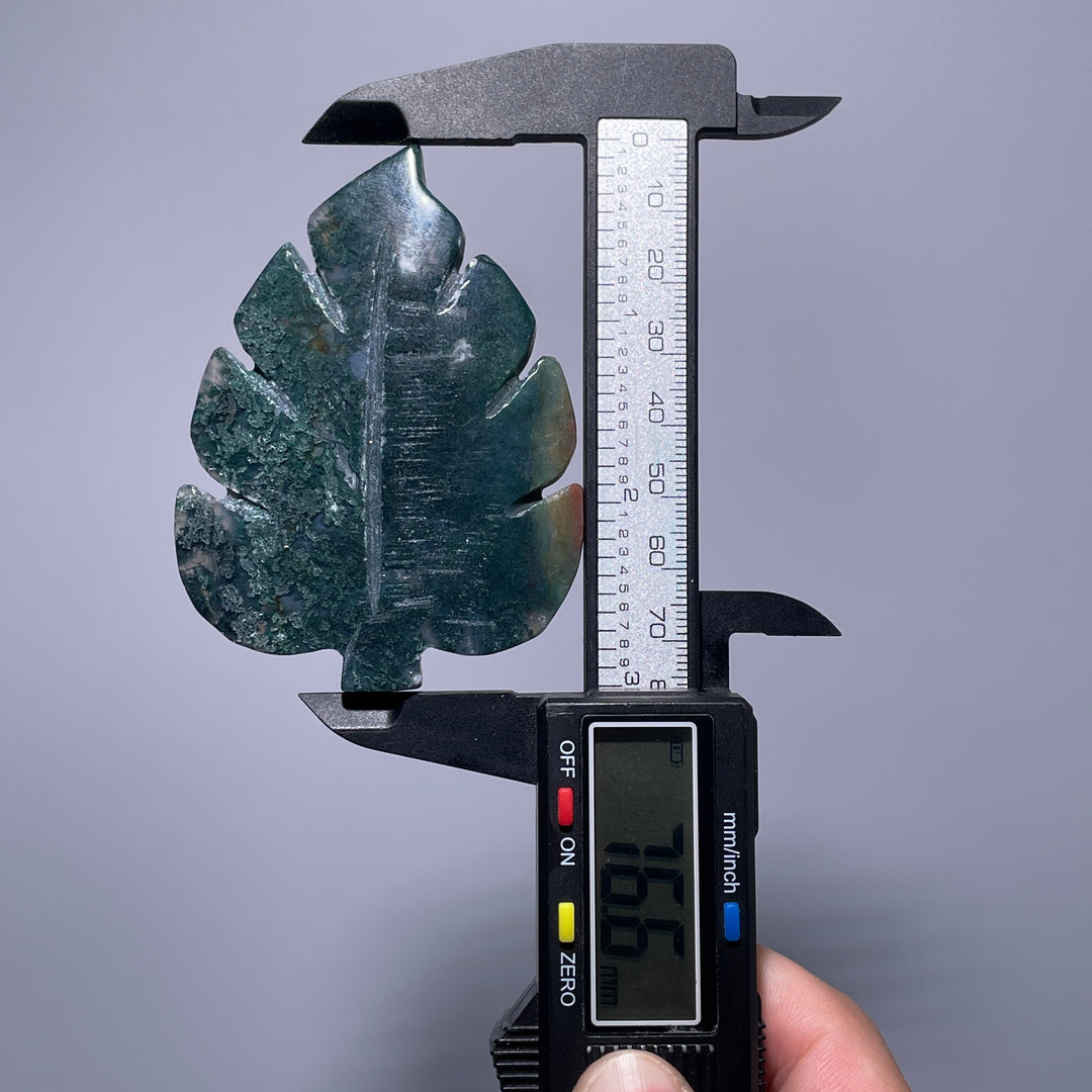 Moss Agate Tree Leaf