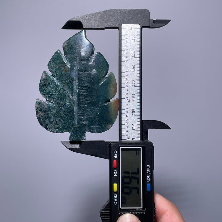 Moss Agate Tree Leaf